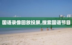 国语录像回放投屏,搜索国语节目