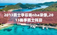 2013勇士季后赛nba录像,2013赛季勇士阵容