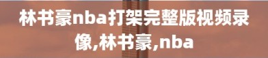 林书豪nba打架完整版视频录像,林书豪,nba