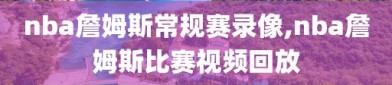 nba詹姆斯常规赛录像,nba詹姆斯比赛视频回放