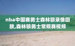 nba中国赛勇士森林狼录像回放,森林狼勇士常规赛视频