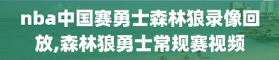 nba中国赛勇士森林狼录像回放,森林狼勇士常规赛视频