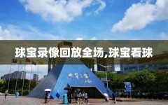 球宝录像回放全场,球宝看球