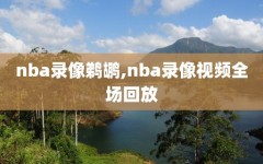 nba录像鹈鹕,nba录像视频全场回放
