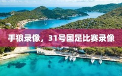 手狼录像，31号国足比赛录像