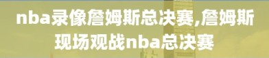 nba录像詹姆斯总决赛,詹姆斯现场观战nba总决赛
