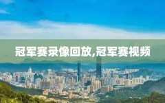 冠军赛录像回放,冠军赛视频