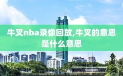牛叉nba录像回放,牛叉的意思是什么意思