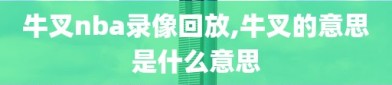 牛叉nba录像回放,牛叉的意思是什么意思