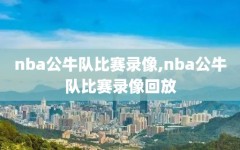 nba公牛队比赛录像,nba公牛队比赛录像回放