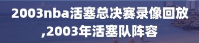2003nba活塞总决赛录像回放,2003年活塞队阵容
