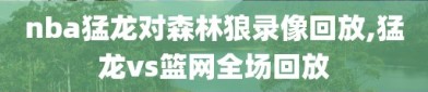 nba猛龙对森林狼录像回放,猛龙vs篮网全场回放