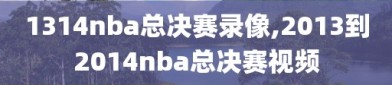 1314nba总决赛录像,2013到2014nba总决赛视频