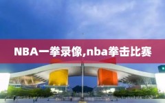 NBA一拳录像,nba拳击比赛