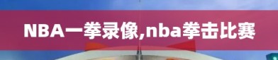 NBA一拳录像,nba拳击比赛
