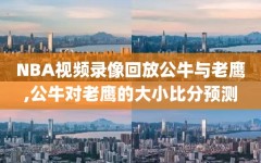 NBA视频录像回放公牛与老鹰,公牛对老鹰的大小比分预测