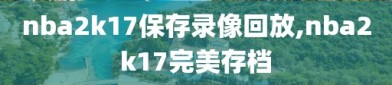 nba2k17保存录像回放,nba2k17完美存档