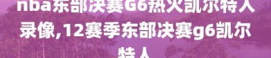 nba东部决赛G6热火凯尔特人录像,12赛季东部决赛g6凯尔特人