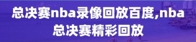 总决赛nba录像回放百度,nba总决赛精彩回放