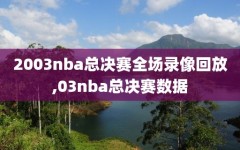 2003nba总决赛全场录像回放,03nba总决赛数据