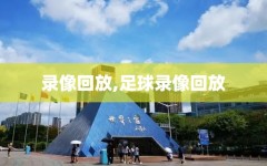 录像回放,足球录像回放