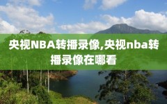 央视NBA转播录像,央视nba转播录像在哪看