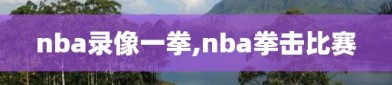 nba录像一拳,nba拳击比赛