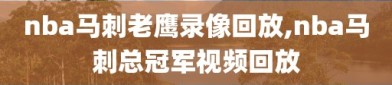nba马刺老鹰录像回放,nba马刺总冠军视频回放