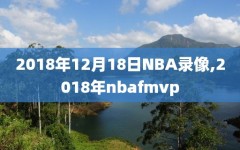 2018年12月18日NBA录像,2018年nbafmvp