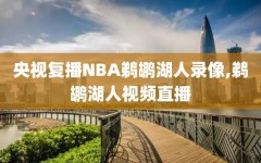 央视复播NBA鹈鹕湖人录像,鹈鹕湖人视频直播