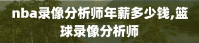 nba录像分析师年薪多少钱,篮球录像分析师