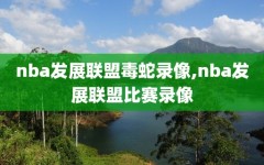 nba发展联盟毒蛇录像,nba发展联盟比赛录像