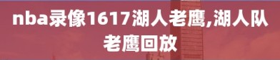 nba录像1617湖人老鹰,湖人队老鹰回放