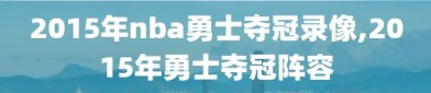 2015年nba勇士夺冠录像,2015年勇士夺冠阵容
