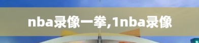 nba录像一拳,1nba录像
