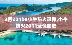 2月28nba小牛热火录像,小牛热火2011录像回放
