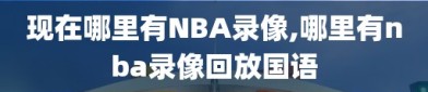 现在哪里有NBA录像,哪里有nba录像回放国语