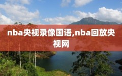 nba央视录像国语,nba回放央视网