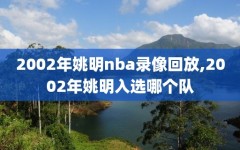 2002年姚明nba录像回放,2002年姚明入选哪个队