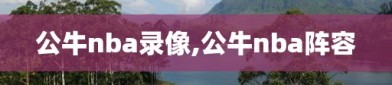 公牛nba录像,公牛nba阵容