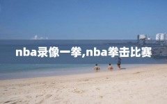 nba录像一拳,nba拳击比赛