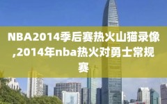 NBA2014季后赛热火山猫录像,2014年nba热火对勇士常规赛
