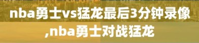 nba勇士vs猛龙最后3分钟录像,nba勇士对战猛龙