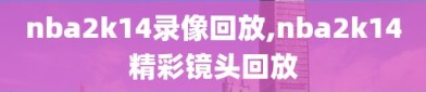 nba2k14录像回放,nba2k14精彩镜头回放