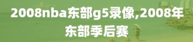 2008nba东部g5录像,2008年东部季后赛