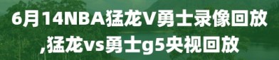 6月14NBA猛龙V勇士录像回放,猛龙vs勇士g5央视回放