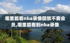 哪里能看nba录像回放不要会员,哪里能看到nba录像