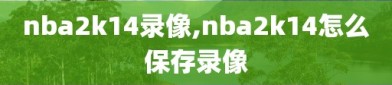nba2k14录像,nba2k14怎么保存录像