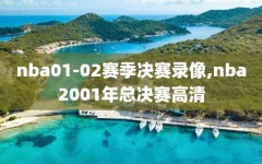 nba01-02赛季决赛录像,nba2001年总决赛高清