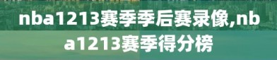 nba1213赛季季后赛录像,nba1213赛季得分榜